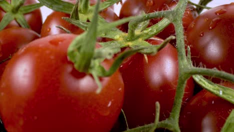 close-up and detailed shot pile of fresh tomato