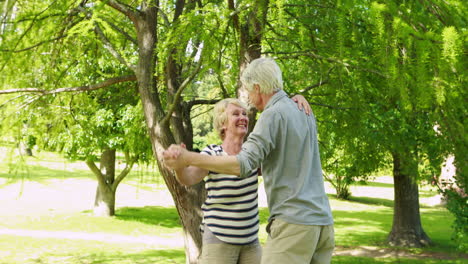 Pareja-Mayor-Bailando-En-El-Parque