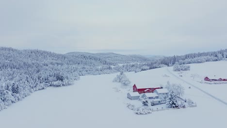 cabañas y bosques cubiertos de fuerte nieve en noruega - fotografía aérea