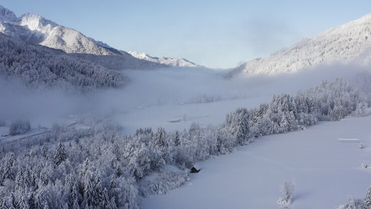 Snowy Mountain Valley with Foggy Forest