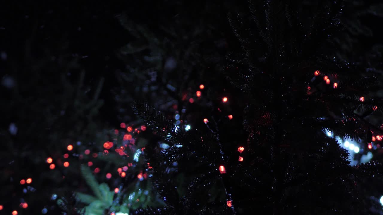 밤에는 조명으로 장식된 크리스마스 트리