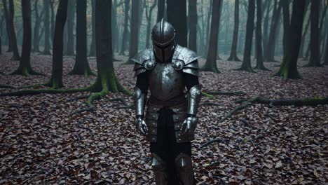 knight in medieval armor in a foggy forest