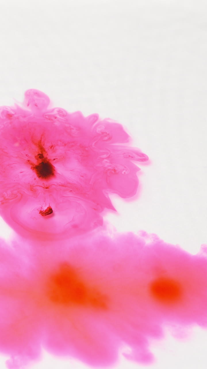 tomada de video vertical aérea de una gota de pintura o tinte rosado arrojada al agua contra un fondo blanco para crear un patrón de colores giratorios 1