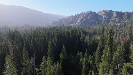 beautiful aerial shot of the sierra nevada trees during sunrise.