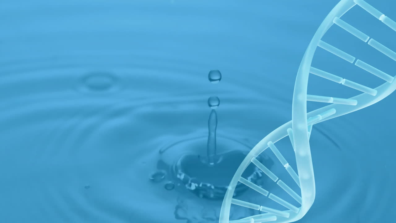 물의 물결과 물방울에 대한 dna 줄무 애니메이션