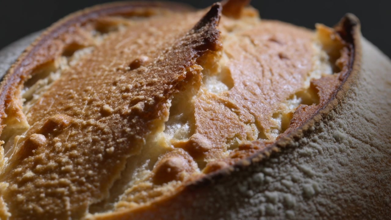 Rilascio di vapore, pagnotta artigianale rotonda che si apre con un taglio centrale sulla superficie di cottura, mostrando la mollica esposta.