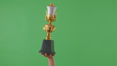 hand holding trophy against green background