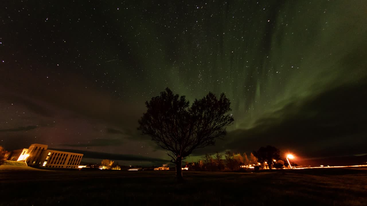 lapso de tiempo de increíbles auroras boreales filmadas en islandia con un hermoso árbol solitario en primer plano