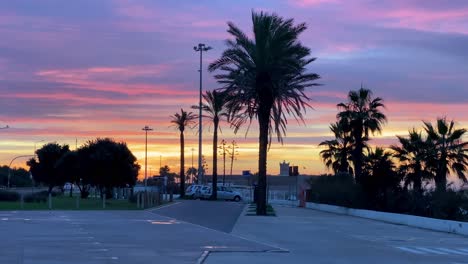 perfect sunrise landscape with beautiful clouds and silhouette of some palm trees with people driving cars in backgrounds in cascais