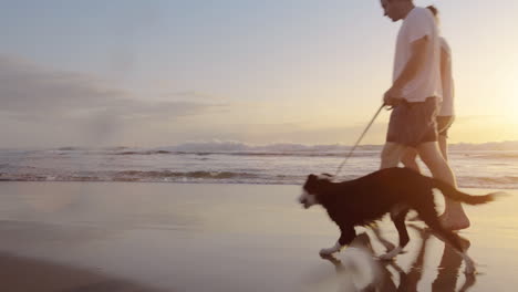 Happy-couple-walking-dog-on-beach-lifestyle-steadicam-shot
