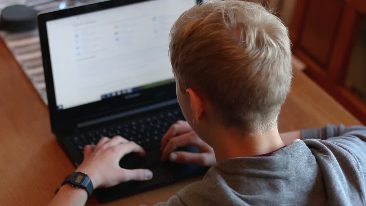 Focused Young Adult Reading Research on a Laptop