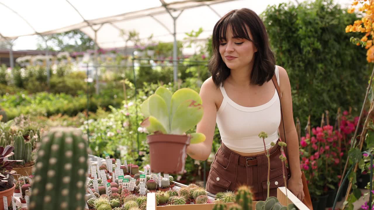 Woman choosing succulents in a greenhouse