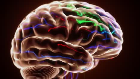 a stunning visualization of the human brain, showcasing neural activity and connections with vibrant colors and intricate patterns in a captivating 3d render