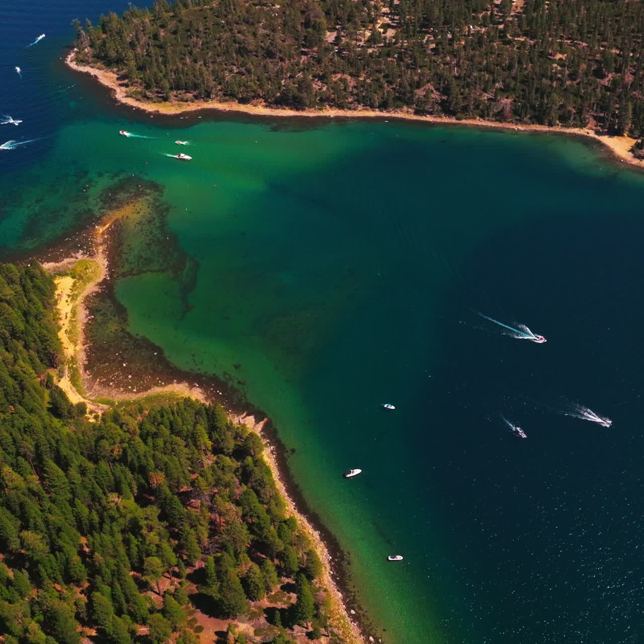 Speed boats and yachts sailing by the blue and turquoise waters of Lake Tahoe. Wooded shore with pine tree forest from aerial view