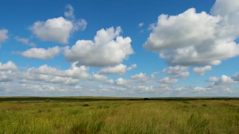 wide open field under a partly cloudy sky