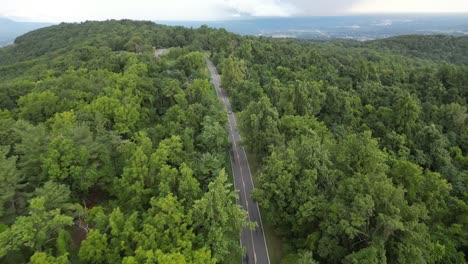 aerial drone shot shows narrow road winding through lush green forest in west virginia with dense summer foliage covering rolling hills under clear sky creating peaceful natural landscape scenery