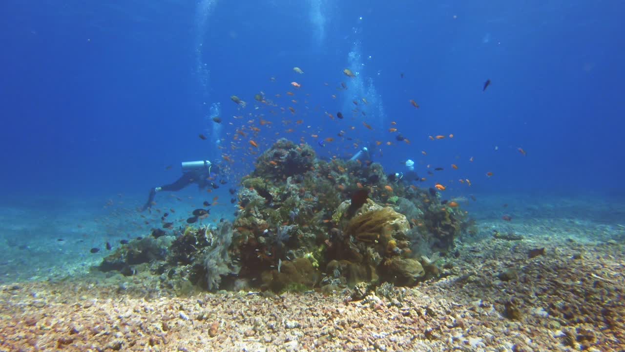Scuba divers drifting past a colorful coral outcrop surrounded by coral rubble