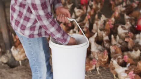 Midsection-of-caucasian-man,-working-on-farm,-feeding-chickens