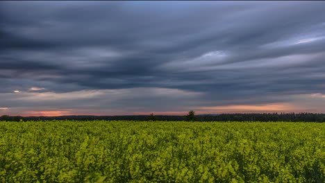 moody sky with streaking clouds time lapse over yellow rapeseed field