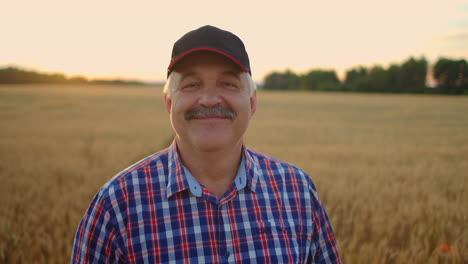 portrait of a smiling senior adult farmer in a cap in a field of cereals. in the sunset light an elderly man in a tractor driver after a working day smiles and looks at the camera.