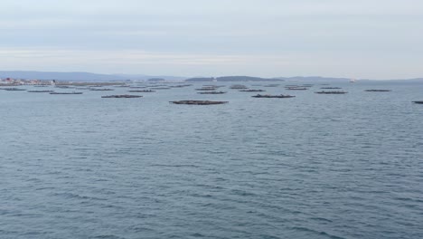 family owned bateas in calm estuary, cultivating mussels