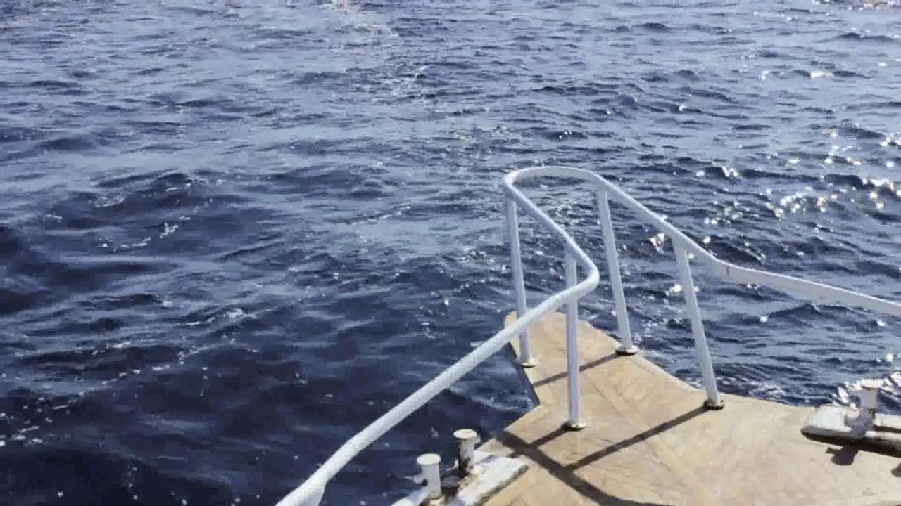 отдых на красном море путешествия египет