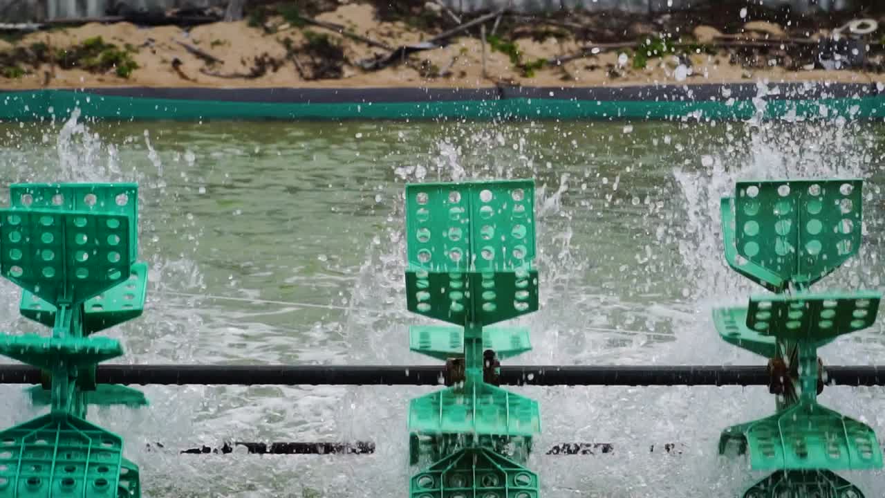 Allevamento di gamberi con ruote a pale verdi a Son Hai, Vietnam