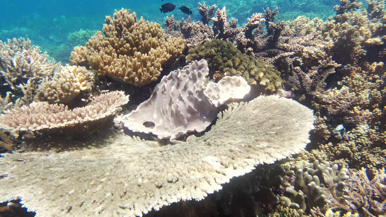 물  ⁇ 에는 완전히 다른 세상이 존재합니다.