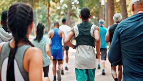 group of people running in a park