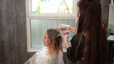 hair toning after hair coloring or highlighting in blonde in a barber shop.