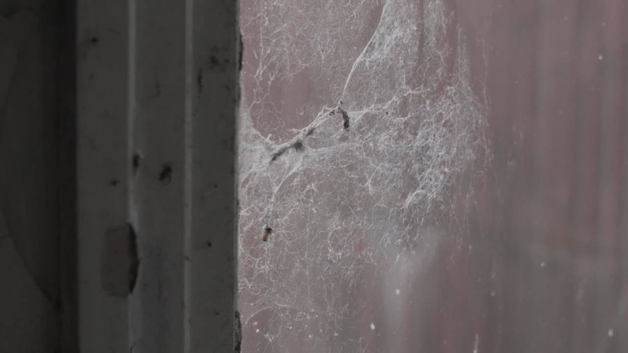 web en ventana sucia vista apocalíptica