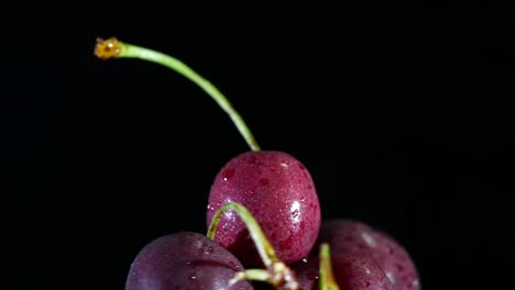 el giro de la cereza