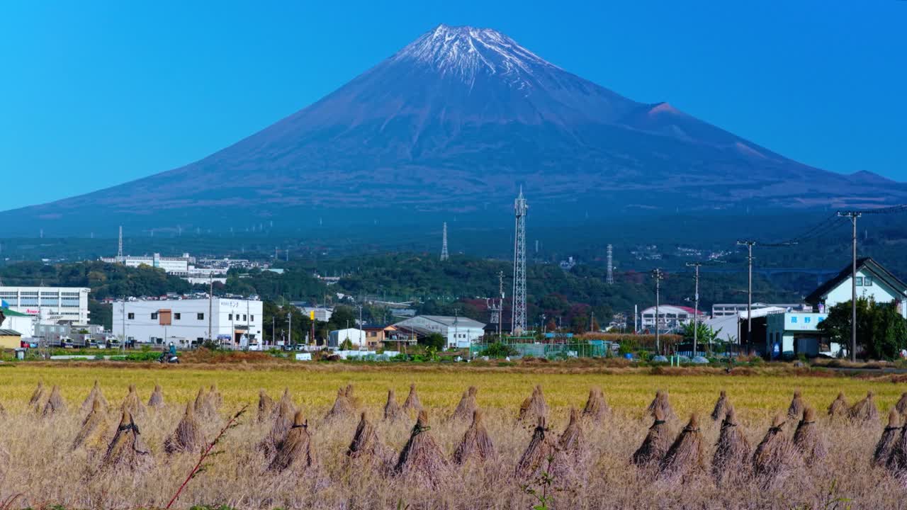 Mt Fuji and Rural Landscape of Japan, Rice Fields Harvested for Autumn, Japan