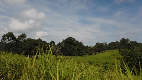 Landscape,-Bluesky,-Moving-Clouds,-People-Nature-Walking-at-a-Distance