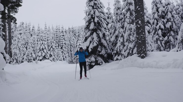 Cross-country Skiing in Snowy Forest