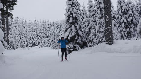 cross-country skiing in snowy forest
