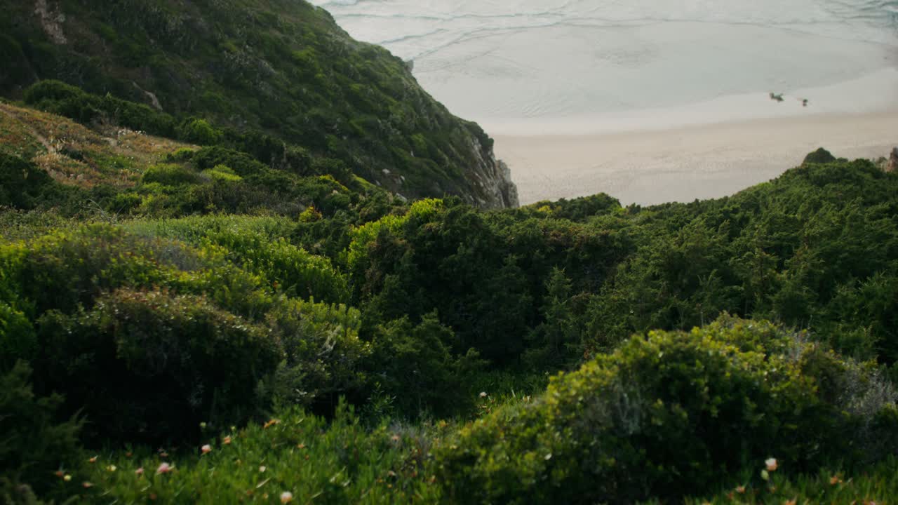 vista de la ladera costera con playa