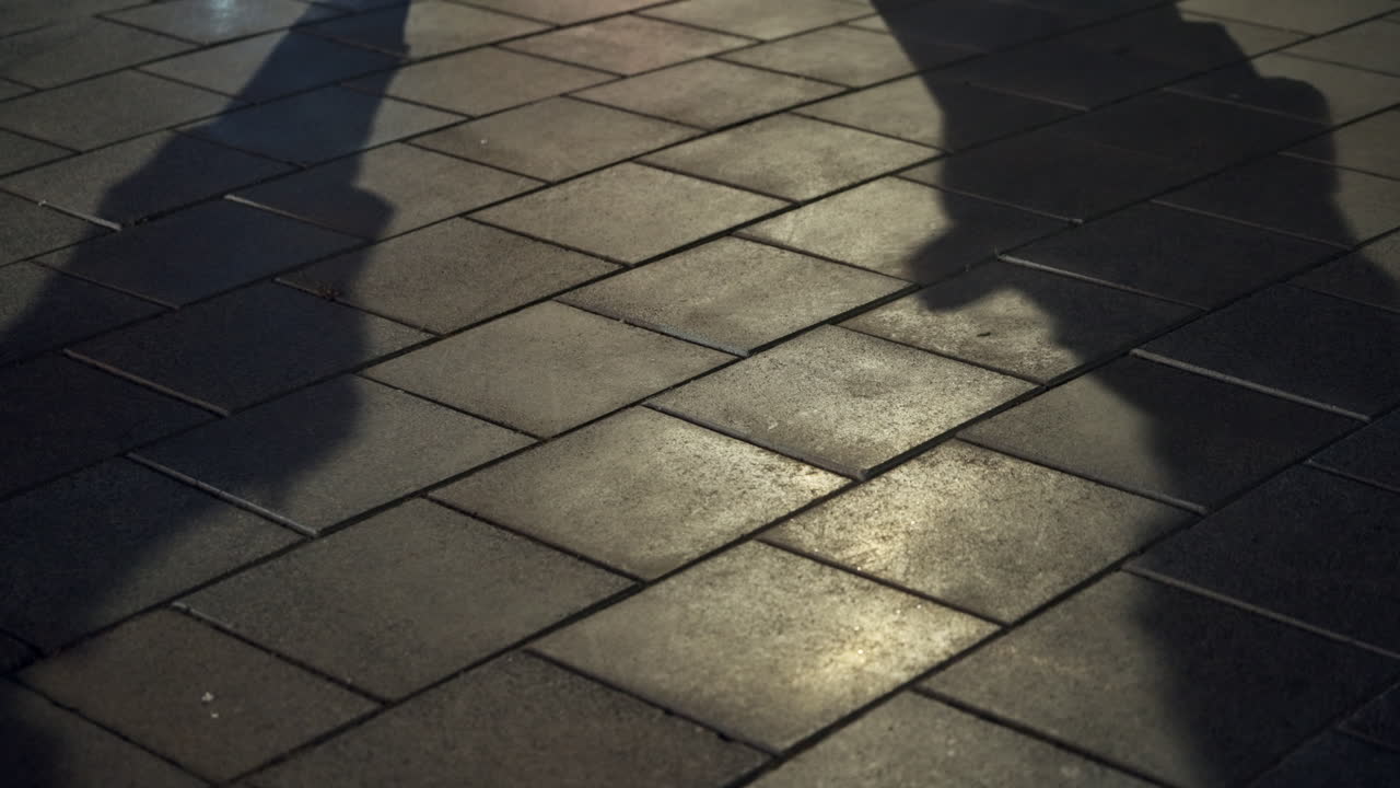 Shadows of two people man and woman make suspicious deal in street. Fraud and corruption in business world. White collar shady illegal money transaction and bribery. Payment for dark dirty secret work