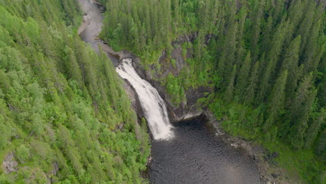 vista aérea de la cascada storfossen en el bosque de coníferas