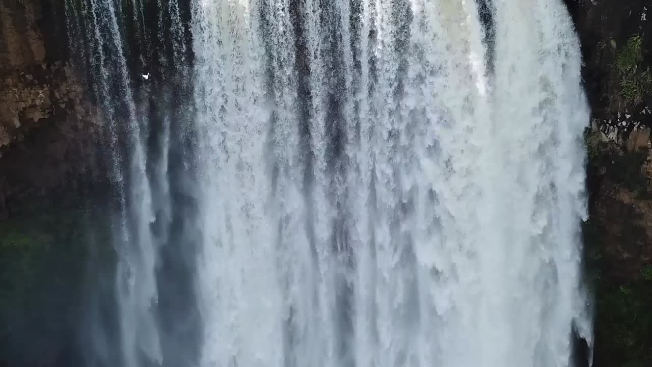 Drone aerial waterfall birds close up