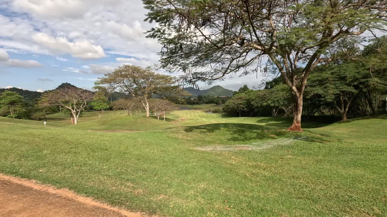 공원 길을 따라 평화롭게 산책합니다.
