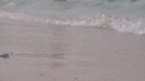 gentle waves with white thick foam roll on clean sand beach