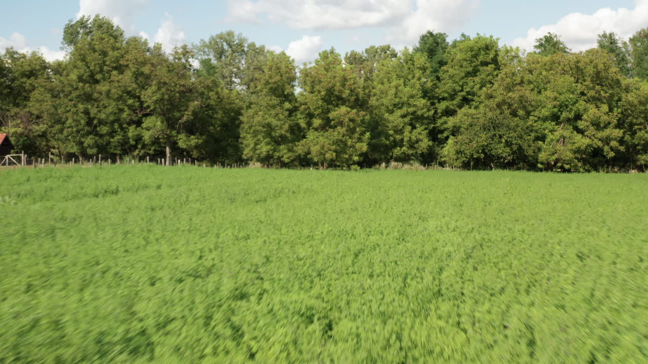 vuelo bajo y rápido sobre el campo agrícola