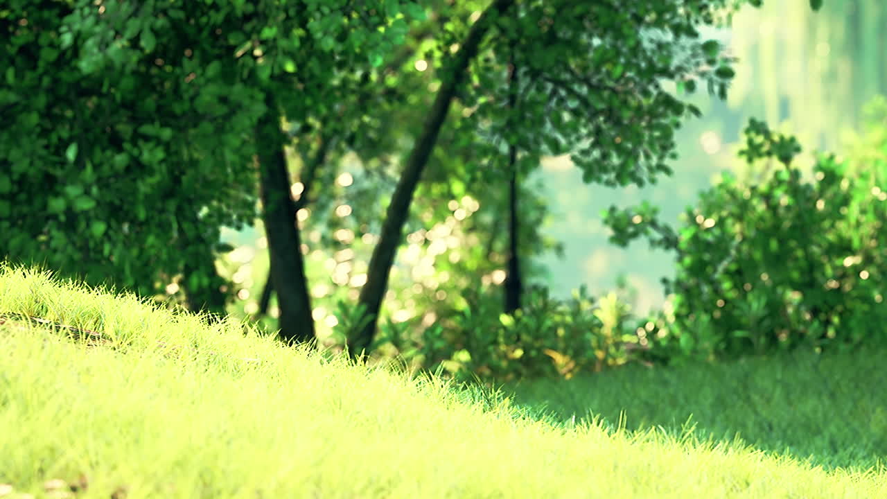 아침  ⁇ 에 큰 마당이 있는 초록색 잔디 ⁇