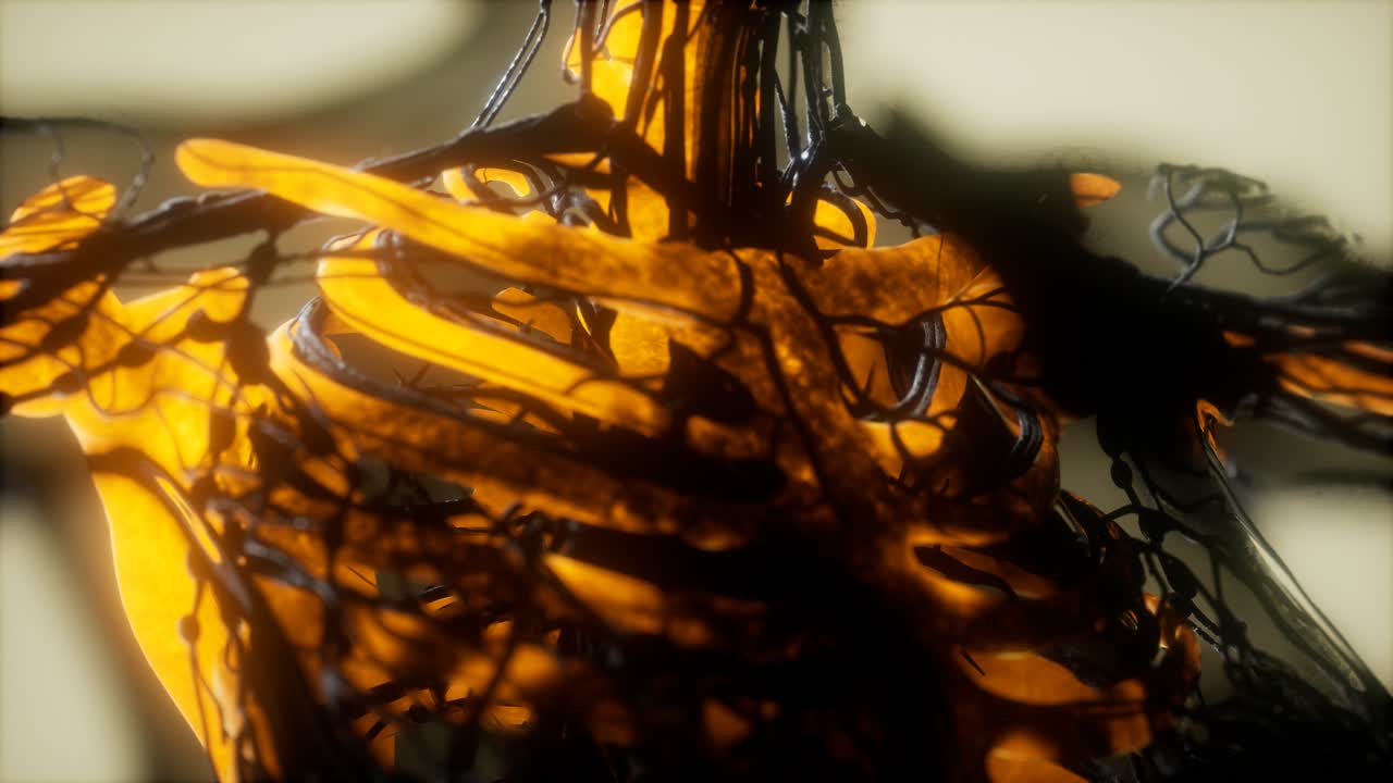 인간의 골격  ⁇  스캔 발광