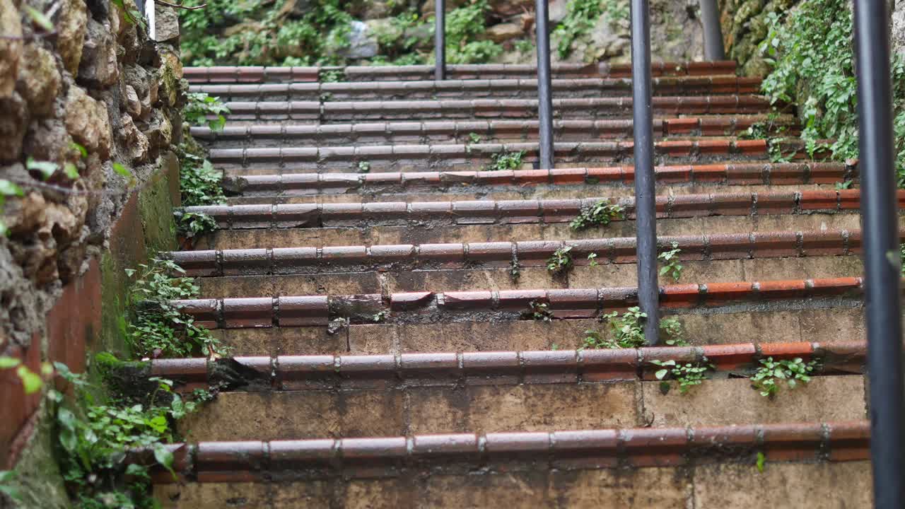 Old Stone Stairs with Plants and Handrails