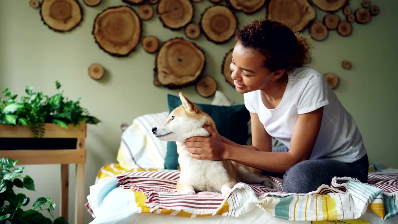 Happy African American teenage girl is caressing pet dog stroking and kissing it expressing love and care on bed in bedroon in apartment. Youth and animals concept.