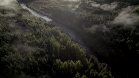 aerial drone footage high above a forest of conifer trees slowly descends and tilts to reveal a river and low hanging cloud in the treetops while the sun sets behind mountains