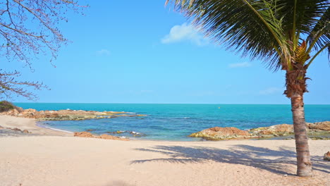 Palmera-En-La-Playa-De-Arena-De-La-Isla-Durante-El-Día-El-Clima-Soleado