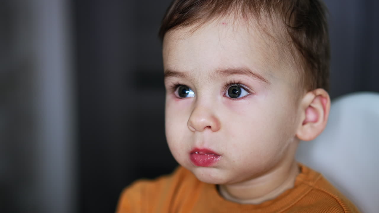 One year old Caucasian toddler's face during the feeding time. Boy looks attentively aside and then takes his hand into mouth. Close up.